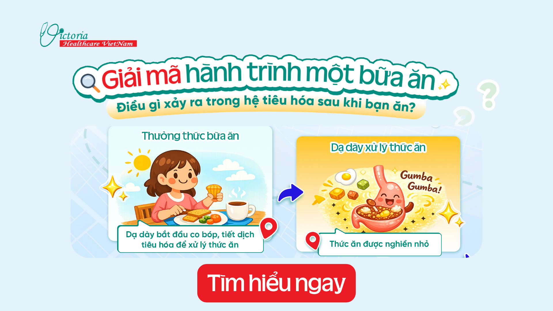 KHÔNG PHẢI AI CŨNG BIẾT: SAU KHI ĂN XONG, CƠ THỂ SẼ ÂM THẦM LÀM GÌ?