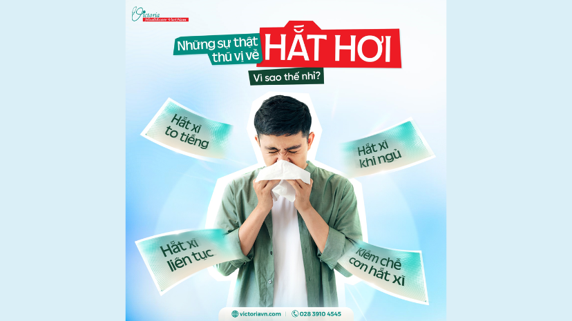 NHỮNG SỰ THẬT THÚ VỊ VỀ HẮT HƠI