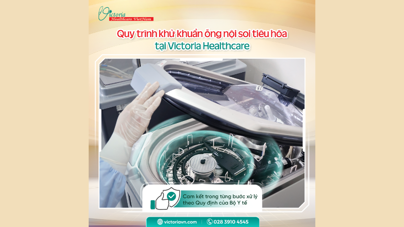 QUY TRÌNH KHỬ KHUẨN ỐNG NỘI SOI TIÊU HÓA TẠI VICTORIA HEALTHCARE